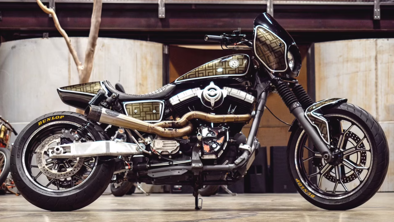 Roland Sands H-D Dyna